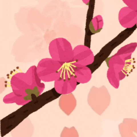 detailBanner