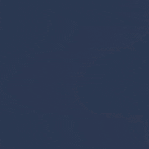 detailBanner