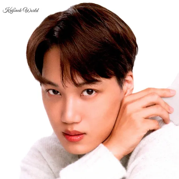 팬들이 뽑은 카이 최고의 순간