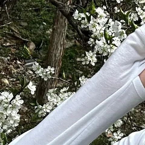 detailBanner