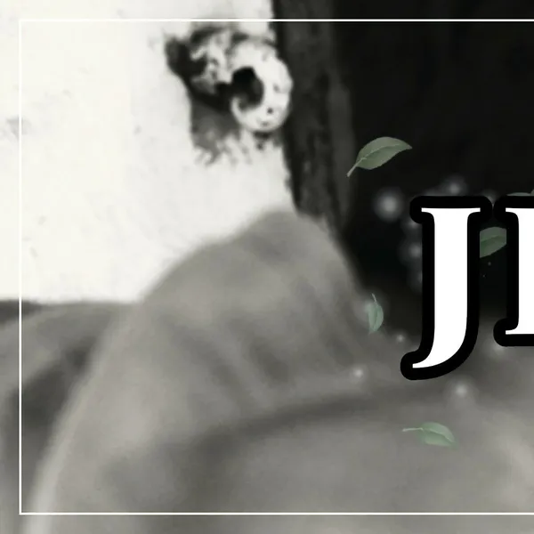 detailBanner