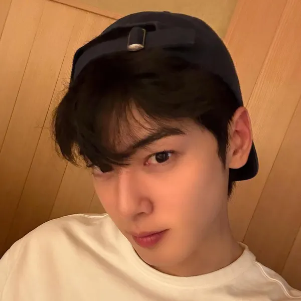 Momen terbaik Cha Eunwoo pilihan penggemar