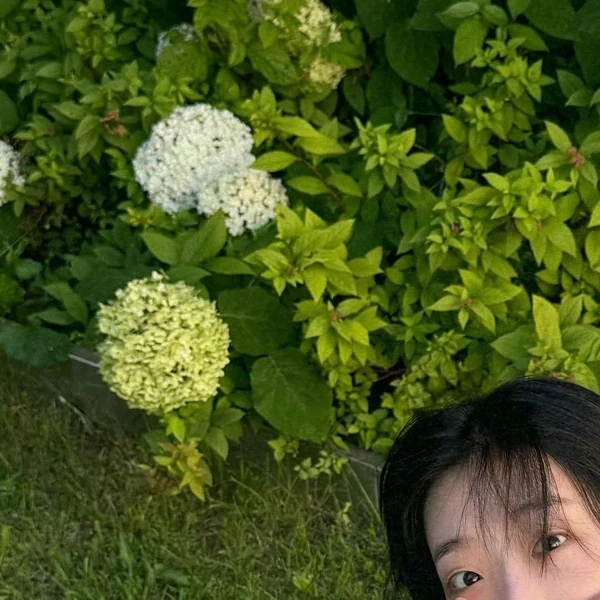 Popular photo full of fans’ love for Ryu Dain
