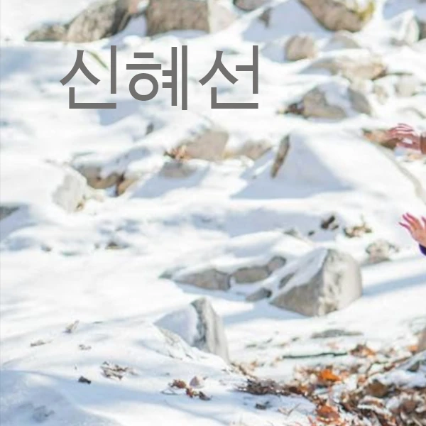 Popular photo full of fans’ love for Shin Haesun