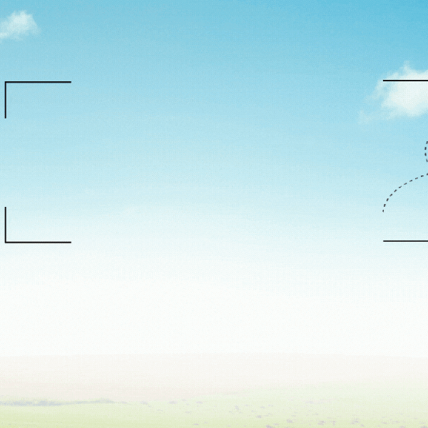 idolBanner