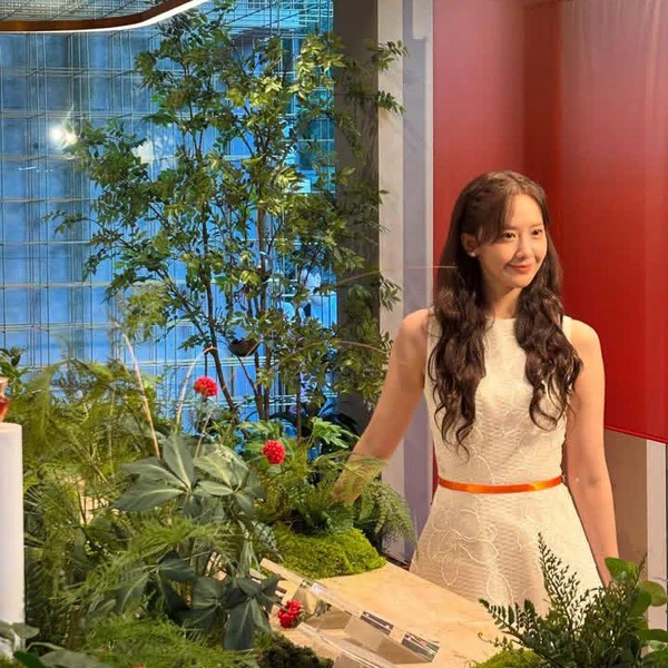 detailBanner