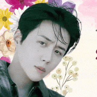 Popular profile photo of Kim Seonho loved by fans