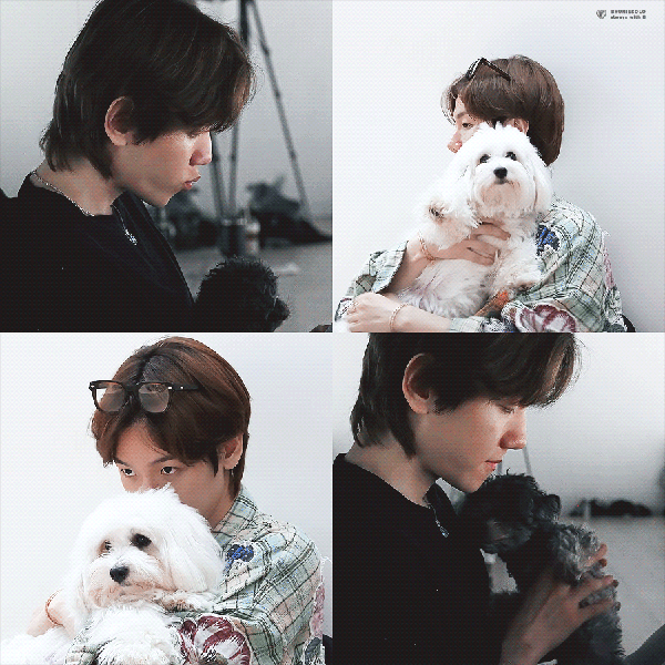 Popular photo full of fans’ love for Baekhyun