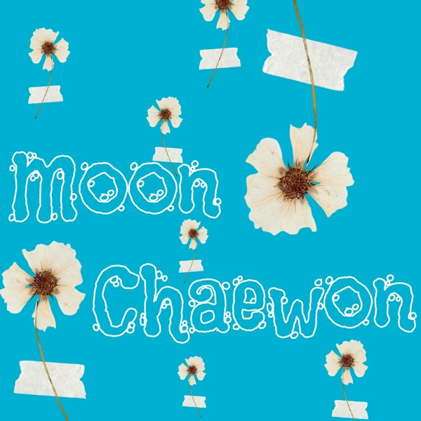 Popular photo full of fans’ love for Moon Chaewon