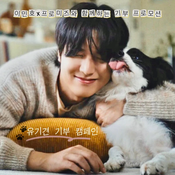 Representative photo of Lee Minho showing their charm