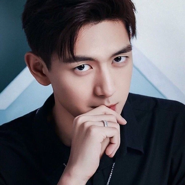 Popular photo full of fans’ love for Li Xian
