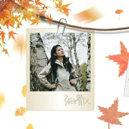 The most loved look of Jingyi Zhang today