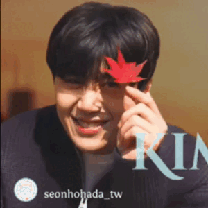 Top moment of Kim Seonho selected by the fandom