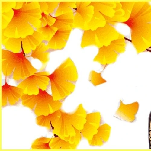 detailBanner