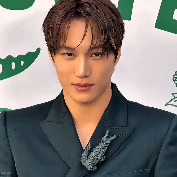 Top moment of KAI chosen by fans