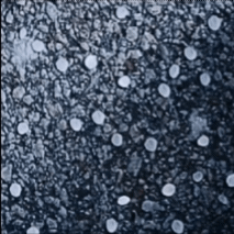 detailBanner