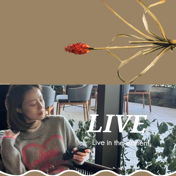 문채원 팬심 가득한 인기 사진