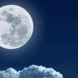 Foto populer Hyun Bin yang penuh cinta dari penggemar