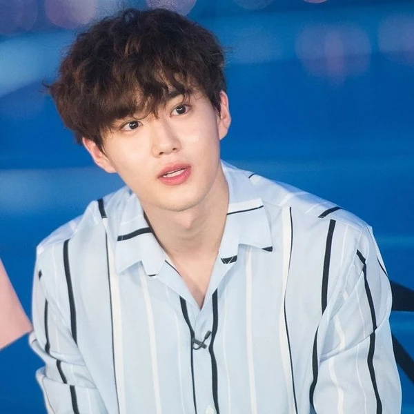 ファンが選んだスホの最高の瞬間