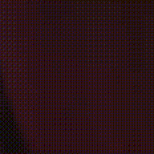 오늘 가장 사랑받은 손예진의 모습