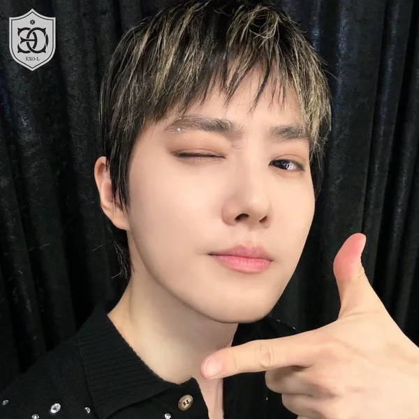 ファンが選んだスホの最高の瞬間