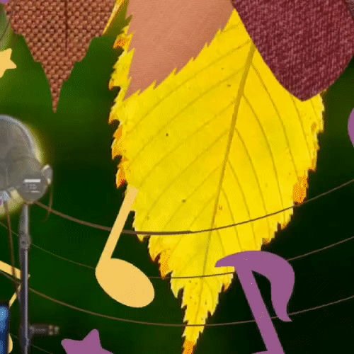 Top moment of Kim Hojoong chosen by fans