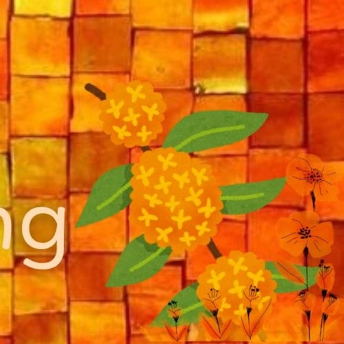 The most loved look of Park Boyoung today