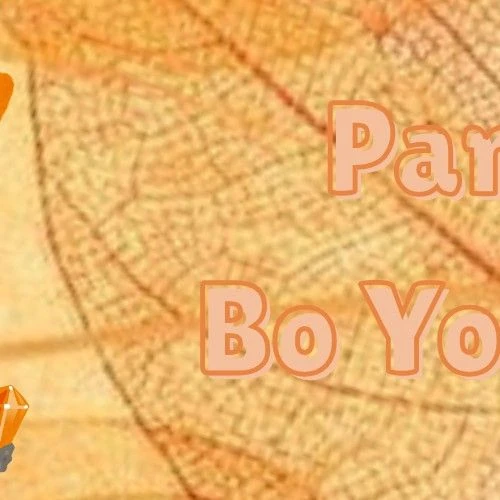 Top moment of Park Boyoung chosen by fans