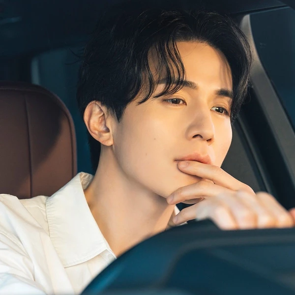 A brilliant moment of Lee Dongwook created by the fandom