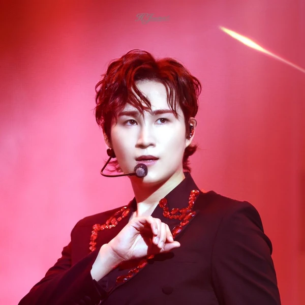 今天最受喜愛的金熙栽模樣