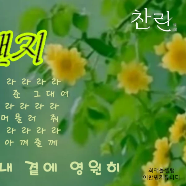 오늘 가장 사랑받은 이찬원의 모습