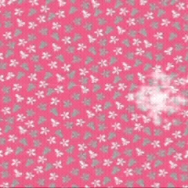 今日最も愛されたパク・ミニョンの姿