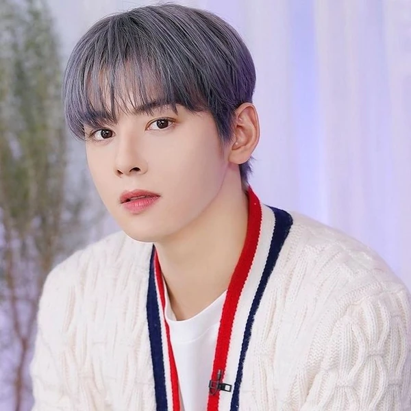 粉絲選出的車銀優最佳時刻