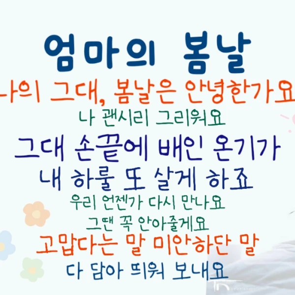 이찬원 팬심 가득한 인기 사진