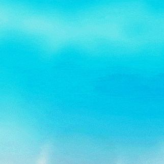 현빈 팬심 가득한 인기 사진