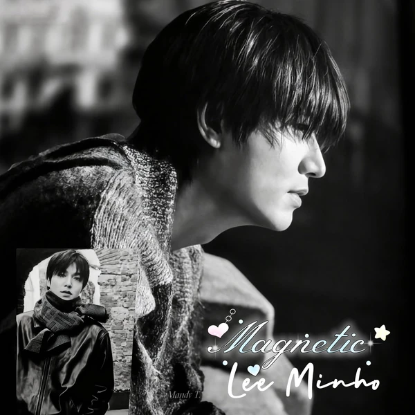 充滿粉絲愛的李敏鎬人氣照片