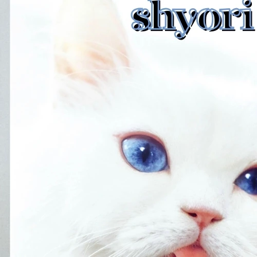 Popular photo full of fans’ love for Seo Kangjoon