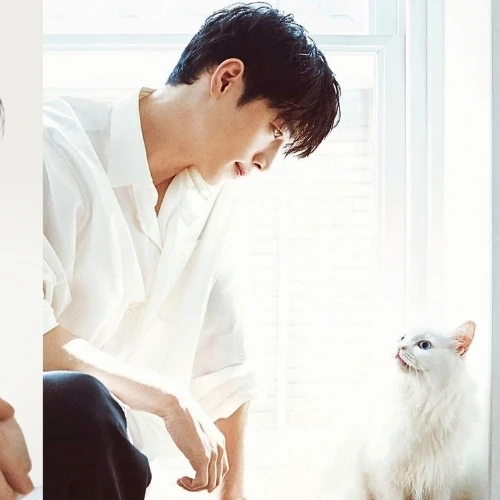 Popular photo full of fans’ love for Seo Kangjoon