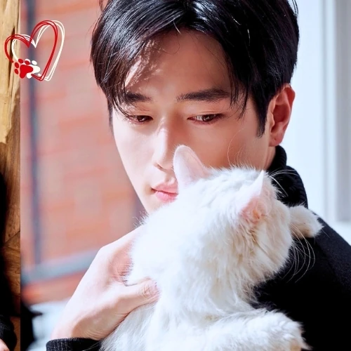 Popular photo full of fans’ love for Seo Kangjoon