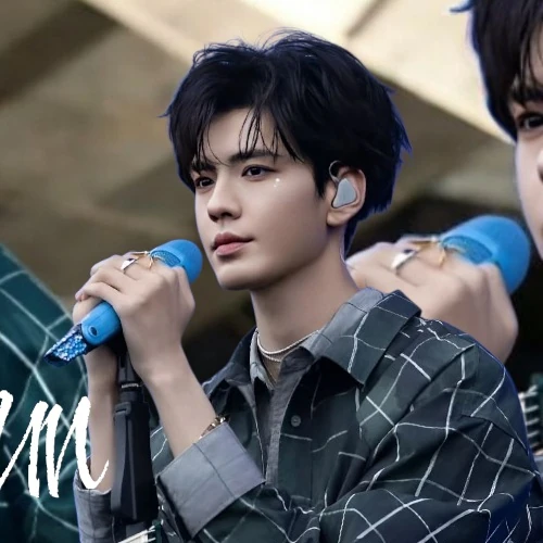 Popular photo full of fans’ love for Bi Wenjun