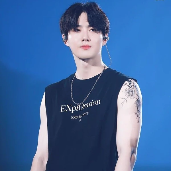 充滿粉絲愛的Suho人氣照片