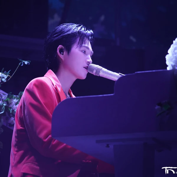 充满粉丝爱意的金熙栽人气照片