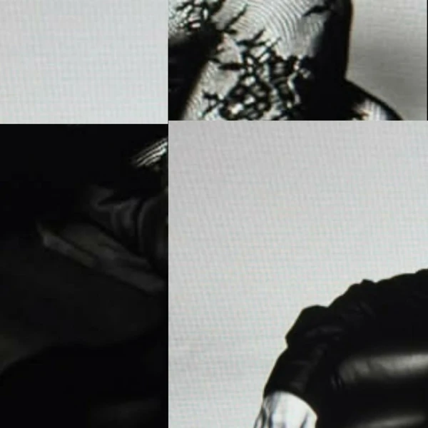 今天最受喜愛的文彩元模樣