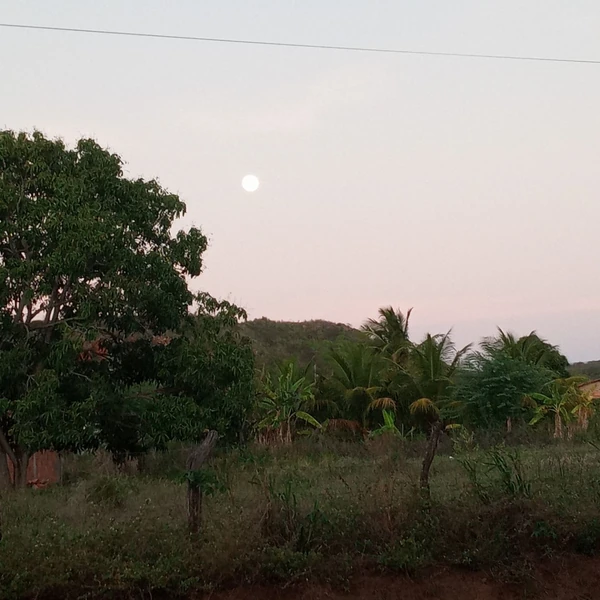 粉絲選出的李棟旭最佳時刻