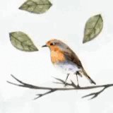 Penampilan Kim Seonho yang paling disukai hari ini