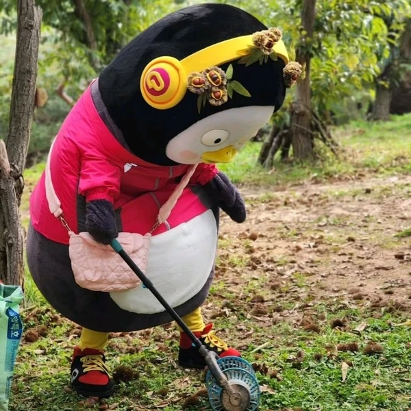 充滿粉絲愛的朋秀人氣照片