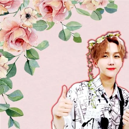 김수찬 팬심 가득한 인기 사진