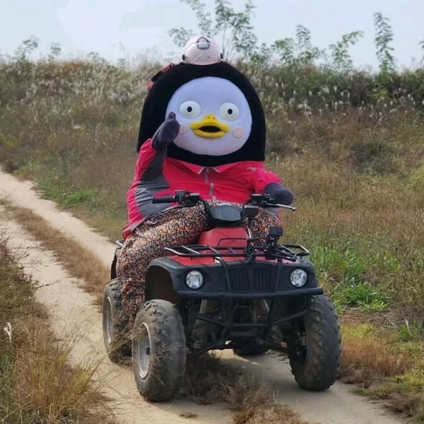 Foto populer Pengsoo yang penuh cinta dari penggemar