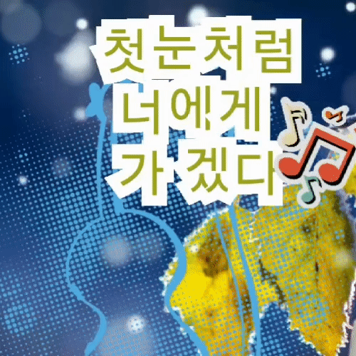 粉絲選出的金浩中最佳時刻