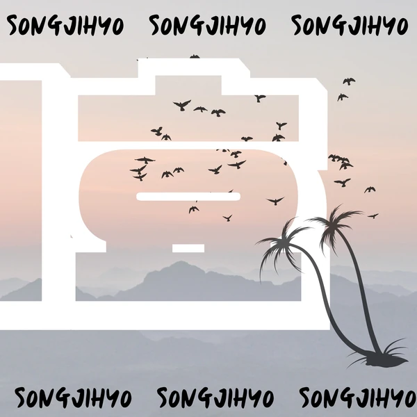 充满粉丝爱意的宋智孝人气照片